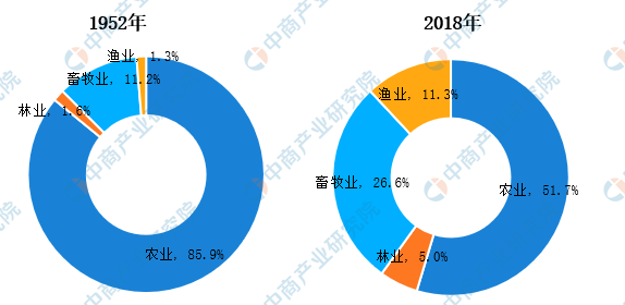 中国农业结构分析新中国成立70年产业结构和区域布局有什么变化