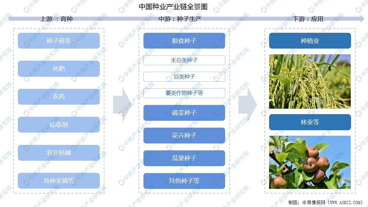 产业链中,上游主要为育种,包括种子研发,化肥,农药,除草剂,农业机械