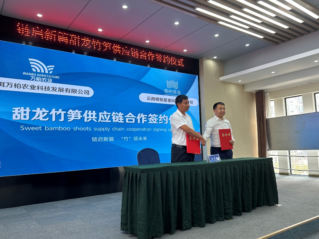 1743154668394905.png 图片1.png