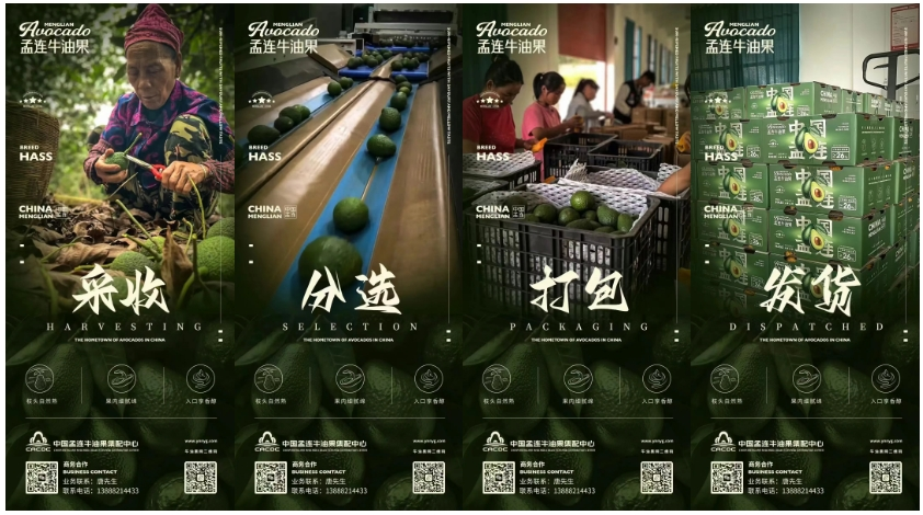 图片4.png
