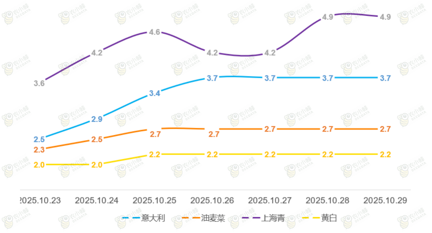 1762166456778409.png image.png