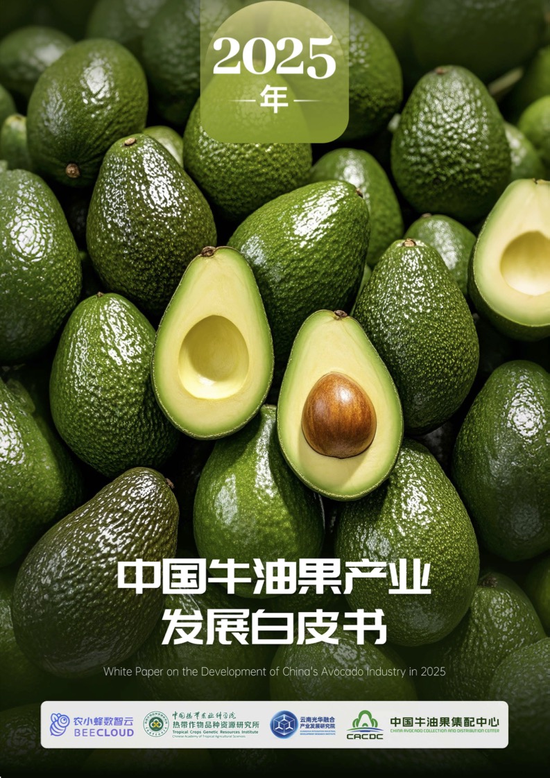 封面.jpg