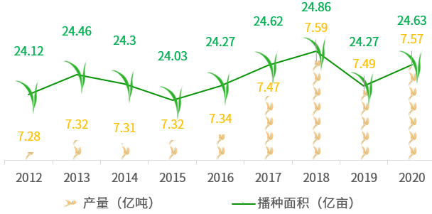 籼型杂交水稻产量图片