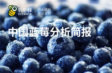 中国蓝莓产业分析简报