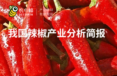 我国辣椒产业分析简报