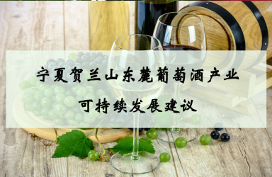 《宁夏贺兰山东麓葡萄酒产业可持续发展建议》