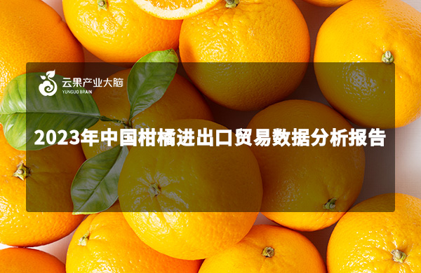 《云果：2023年中国柑橘进出口贸易数据分析报告》