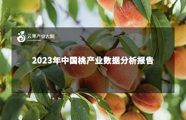 《云果：2023年中国桃产业数据分析报告》