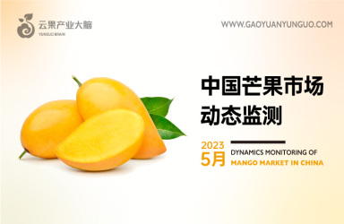 《云果：中国芒果市场动态监测（2023年5月）》