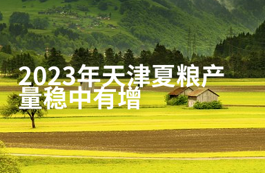 2023年天津夏粮产量稳中有增