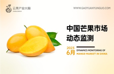 《云果：中国芒果市场动态监测（2023年6月）》