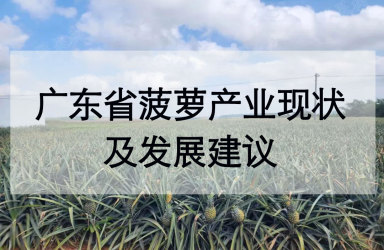 《广东省菠萝产业现状及发展建议》