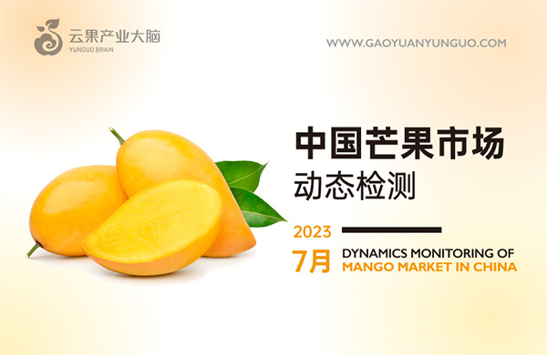 《云果：中国芒果市场动态监测（2023年7月）》