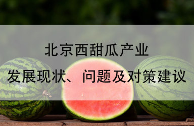 《北京西甜瓜产业发展现状、问题及对策建议》
