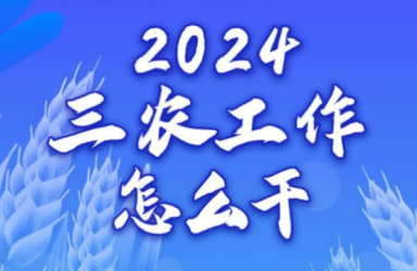 一图读懂丨2024年三农工作怎么干？