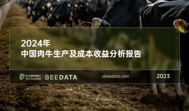 《农小蜂：2024年中国肉牛生产及成本收益分析报告》