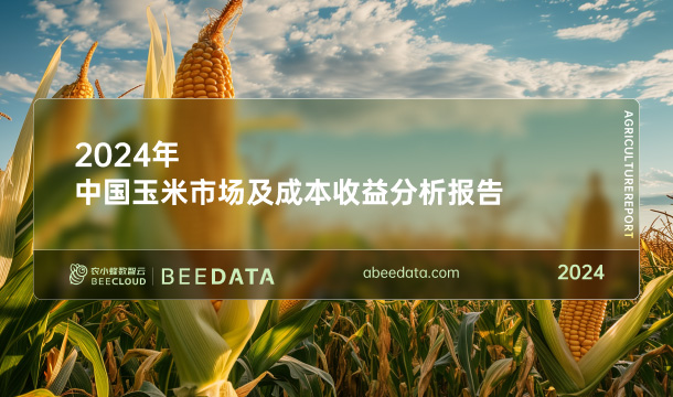 《农小蜂：2024年中国玉米市场及成本收益分析报告》