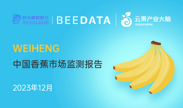 《农小蜂：中国香蕉市场动态监测（2023年12月）》
