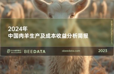 《农小蜂：2024年中国肉羊生产及成本收益分析报告》简报版