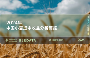 《农小蜂：2024年中国小麦成本收益分析报告》简报版