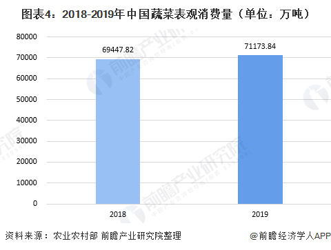 图表4：2018-2019年中国蔬菜表观消费量（单位：万吨）