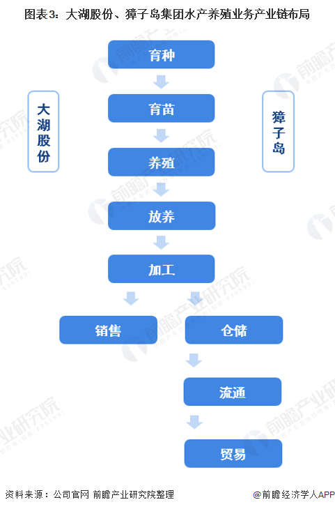 图表3:大湖股份,獐子岛集团水产养殖业务产业链布局