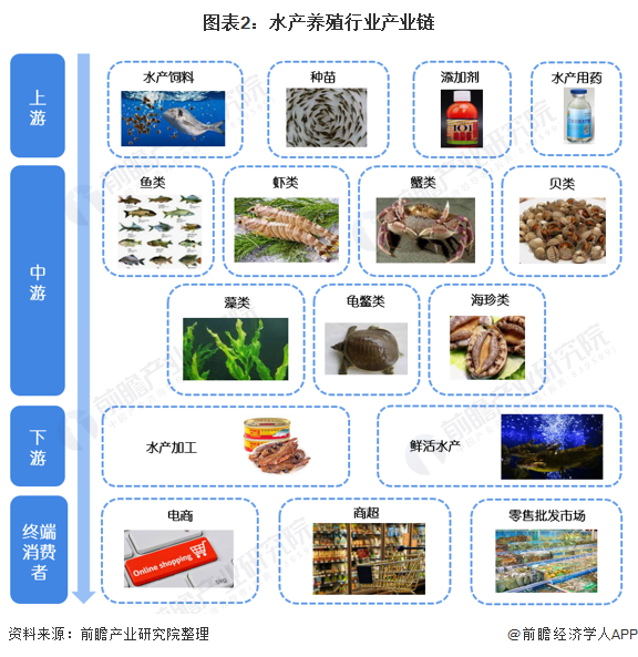 图表2:水产养殖行业产业链