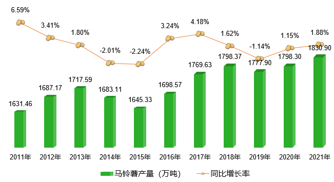 徐薯32红薯产量图片