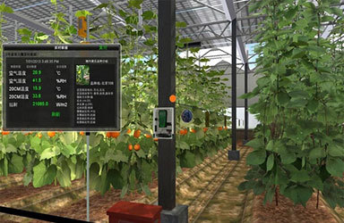 重磅！腾讯布局农业产业互联网，首个智慧农业项目签约落地