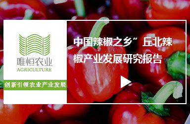 《唯恒农业：“中国辣椒之乡”丘北辣椒产业发展研究报告》