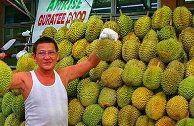 马来西亚榴莲看好中国市场