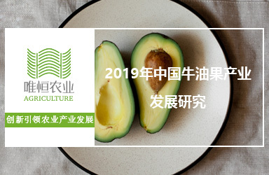 《唯恒农业：2019年中国牛油果产业发展研究》