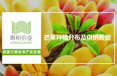 芒果種植分布及供銷數據