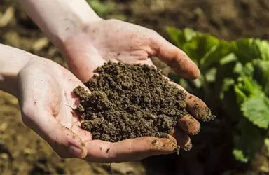 今年上半年全国肥料质量监督抽查结果公布