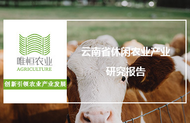《唯恒农业：云南省休闲农业产业研究报告》