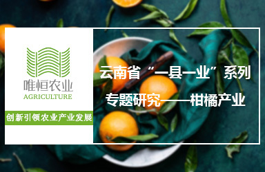 《唯恒农业：云南省“一县一业”系列专题研究-柑橘产业》