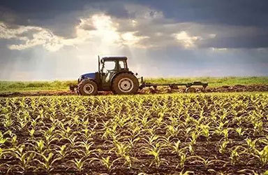 农业服务业：现代农业发展的新引擎