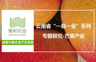 《唯恒农业：云南省“一县一业”系列专题研究-芒果产业》