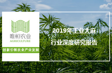 《唯恒农业：2019年工业大麻行业深度研究报告》