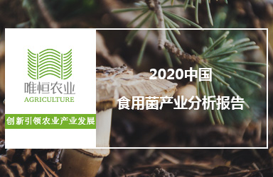 《唯恒农业：2020中国食用菌产业分析报告》