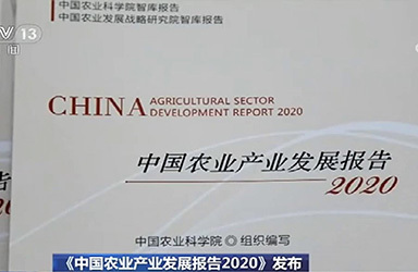 《中国农业产业发展报告2020》在京发布