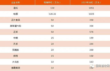 11家中国养猪企业荣登全球养猪实力榜