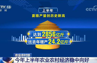 农业农村部：2020年上半年农业农村经济运行总体平稳、稳中向好