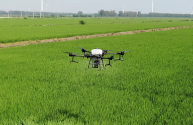 以城乡融合发展加快推进农业农村现代化