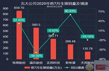 主要上市猪企8月销售数据