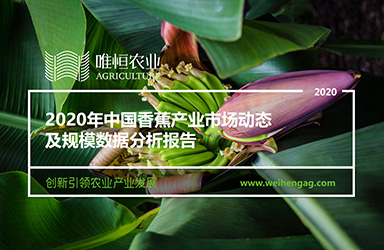 《唯恒农业：2020年中国香蕉产业市场动态及规模数据分析报告》