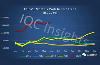 2020年上半年回顾：中国在新冠疫情下快速变化的猪肉进口市场