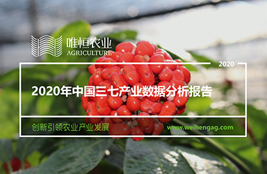 《唯恒农业：2020年中国三七产业数据分析报告》