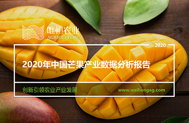 《唯恒农业：2020年中国芒果产业数据分析报告》