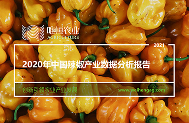 《唯恒农业：2020年中国辣椒产业数据分析报告》